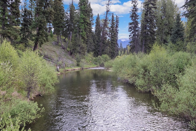22585 Fatty Creek Rd, Bigfork, MT 59911
