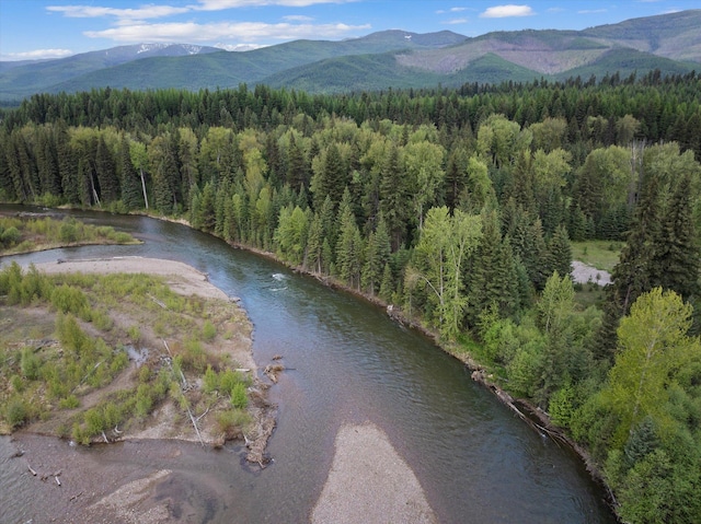 22585 Fatty Creek Rd, Bigfork, MT 59911