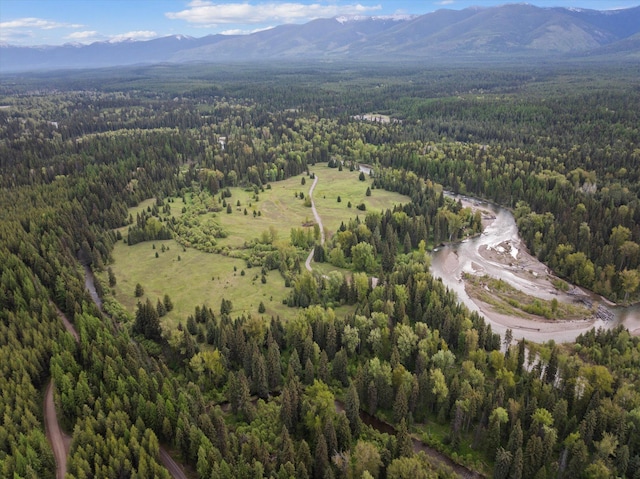 22585 Fatty Creek Rd, Bigfork, MT 59911
