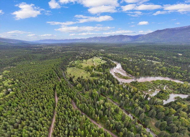 22585 Fatty Creek Rd, Bigfork, MT 59911
