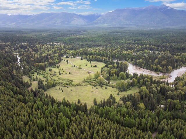 22585 Fatty Creek Rd, Bigfork, MT 59911