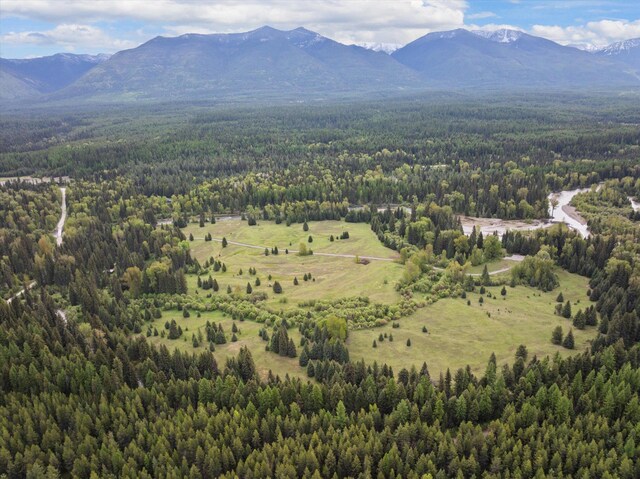 22585 Fatty Creek Rd, Bigfork, MT 59911
