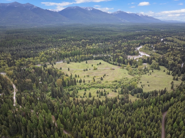 22585 Fatty Creek Rd, Bigfork, MT 59911