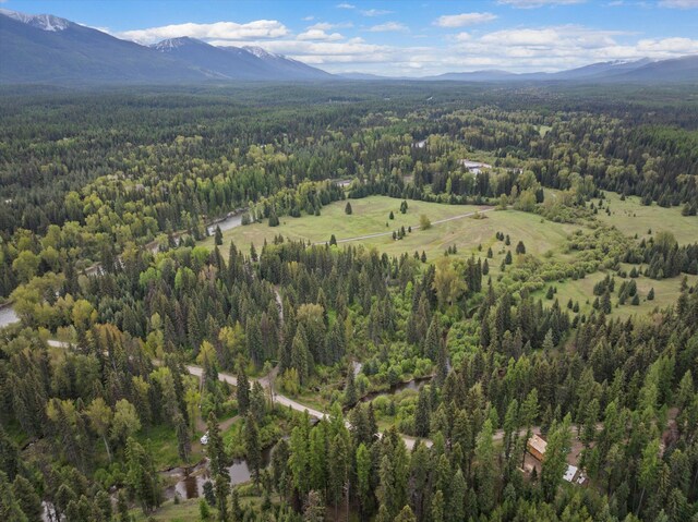 22585 Fatty Creek Rd, Bigfork, MT 59911