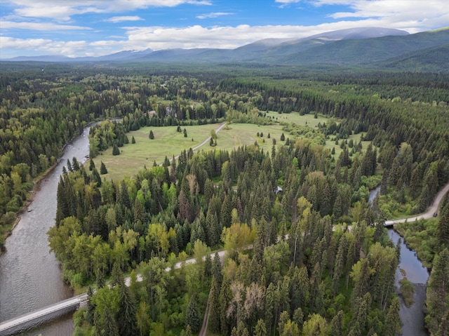 22585 Fatty Creek Rd, Bigfork, MT 59911