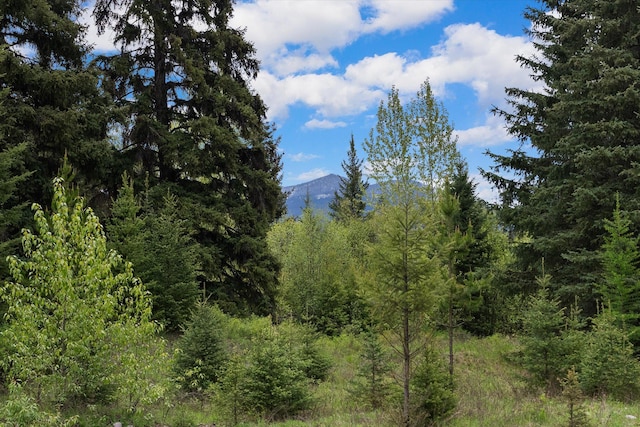 22585 Fatty Creek Rd, Bigfork, MT 59911