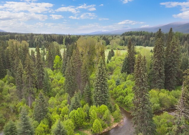 22585 Fatty Creek Rd, Bigfork, MT 59911