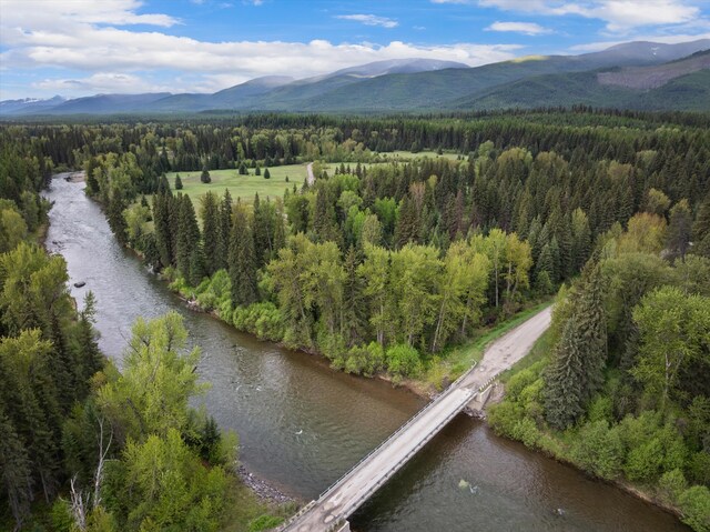 22585 Fatty Creek Rd, Bigfork, MT 59911