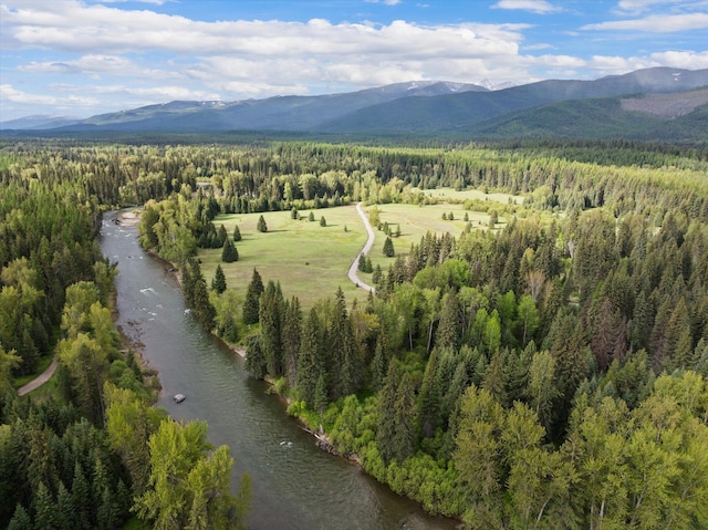 22585 Fatty Creek Rd, Bigfork, MT 59911