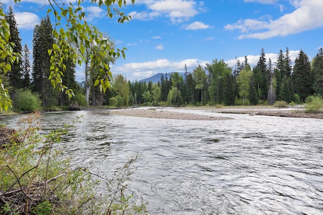 22585 Fatty Creek Rd, Bigfork, MT 59911