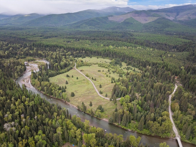 22585 Fatty Creek Rd, Bigfork, MT 59911