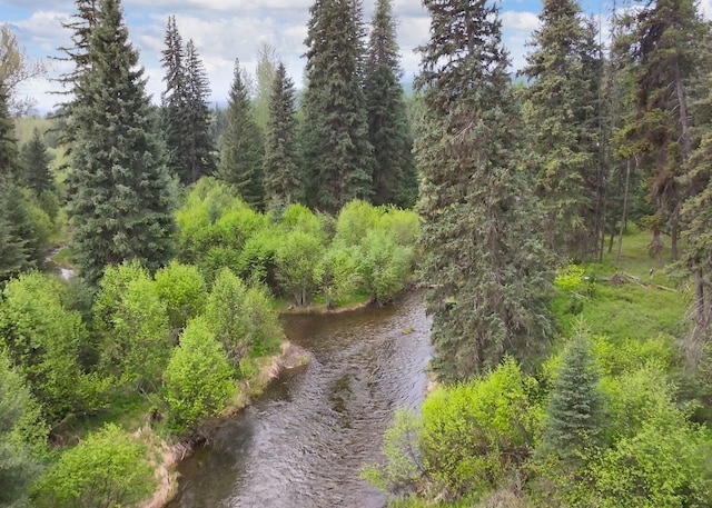 22585 Fatty Creek Rd, Bigfork, MT 59911