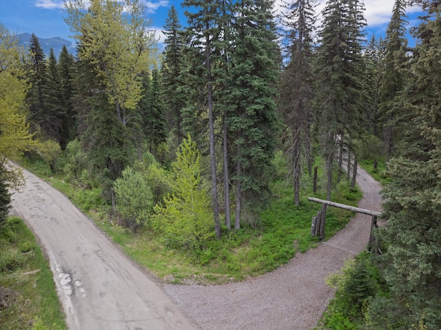 22585 Fatty Creek Rd, Bigfork, MT 59911