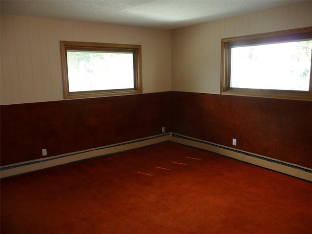 3115 8th Ave N, Great Falls, MT 59401 - unfurnished room featuring healthy amount of natural light, carpet floors, a textured ceiling, and wood walls