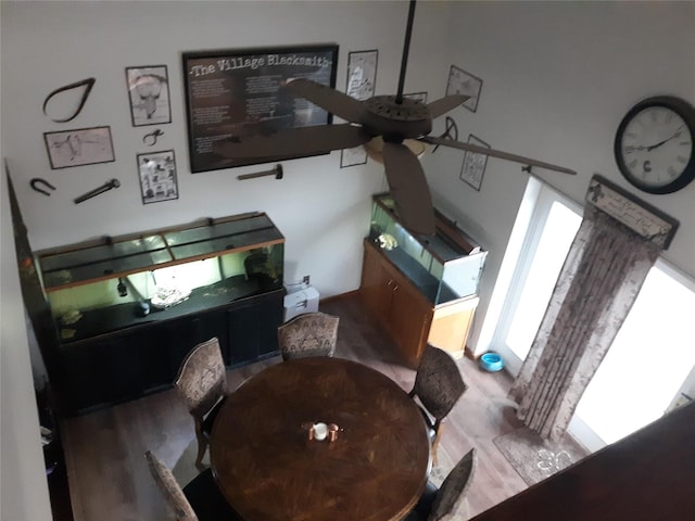 314 4th Ave NE, Cut Bank, MT 59427 - dining room with wood finished floors and a ceiling fan