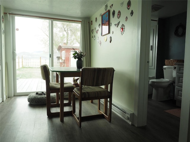 15 Perrin Ln, Hot Springs, MT 59845 - dining space featuring wood finished floors and a baseboard radiator