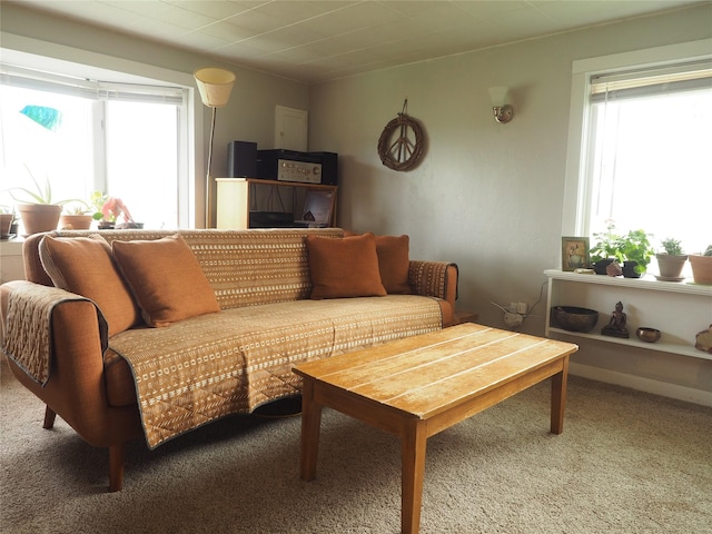 15 Perrin Ln, Hot Springs, MT 59845 - view of carpeted living room