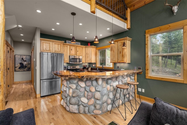 217 Forest Ridge Trl, Kila, MT 59920 - kitchen with appliances with stainless steel finishes, light wood-style flooring, baseboards, a kitchen bar, and a sink