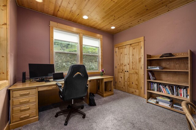 217 Forest Ridge Trl, Kila, MT 59920 - office with wooden ceiling, carpet floors, and recessed lighting