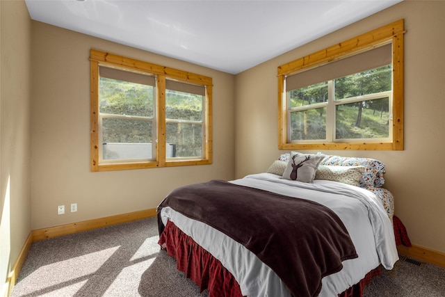217 Forest Ridge Trl, Kila, MT 59920 - carpeted bedroom with baseboards