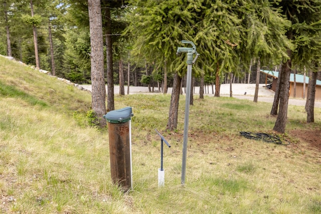 217 Forest Ridge Trl, Kila, MT 59920 - view of yard