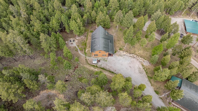 217 Forest Ridge Trl, Kila, MT 59920 - drone / aerial view