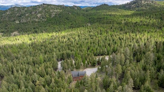 217 Forest Ridge Trl, Kila, MT 59920 - drone / aerial view of a forest and a mountainous background