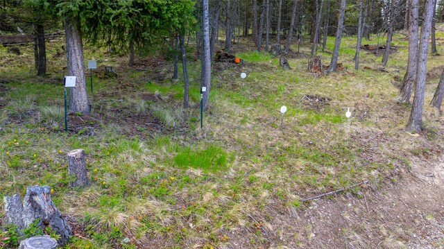 217 Forest Ridge Trl, Kila, MT 59920 - view of local wilderness