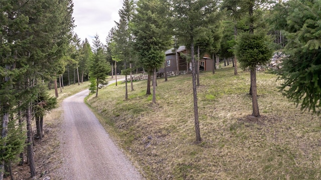 217 Forest Ridge Trl, Kila, MT 59920 - view of dirt / gravel road