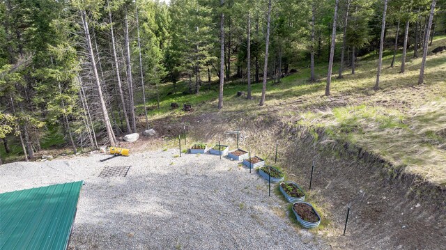 217 Forest Ridge Trl, Kila, MT 59920 - view of yard with a wooded view