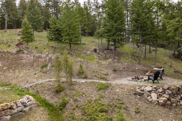 217 Forest Ridge Trl, Kila, MT 59920 - view of nature
