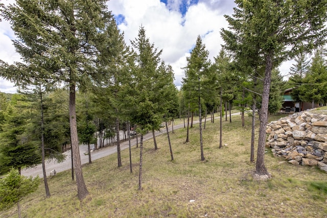 217 Forest Ridge Trl, Kila, MT 59920 - view of yard
