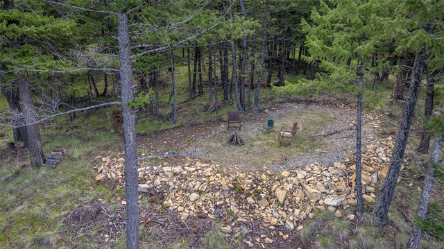 217 Forest Ridge Trl, Kila, MT 59920 - view of local wilderness