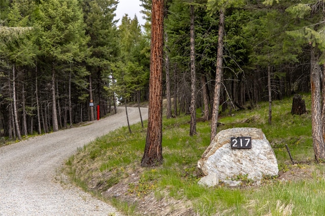 217 Forest Ridge Trl, Kila, MT 59920 - view of street featuring a view of trees