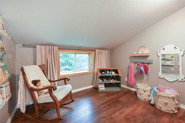 2 Cedar Grove Ln, Noxon, MT 59853 - living area with lofted ceiling, a textured ceiling, wood finished floors, and baseboards