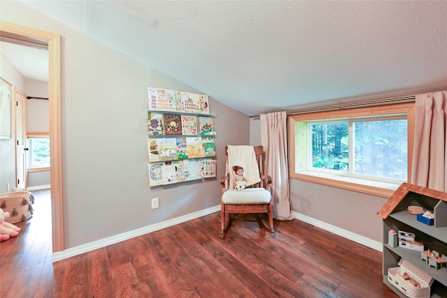 2 Cedar Grove Ln, Noxon, MT 59853 - living area featuring lofted ceiling, a textured ceiling, dark wood-style flooring, healthy amount of natural light, and baseboards