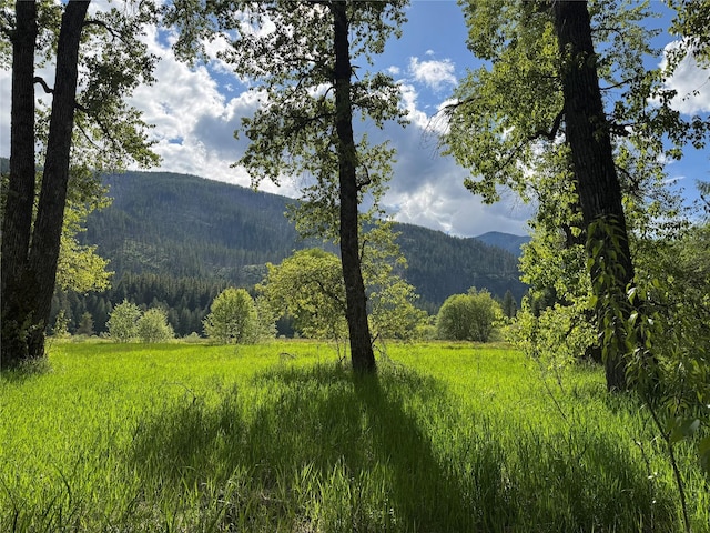 2 Cedar Grove Ln, Noxon, MT 59853 - view of mountain backdrop featuring a forest