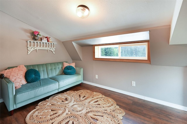 2 Cedar Grove Ln, Noxon, MT 59853 - living area with wood finished floors, lofted ceiling, baseboards, and a textured ceiling