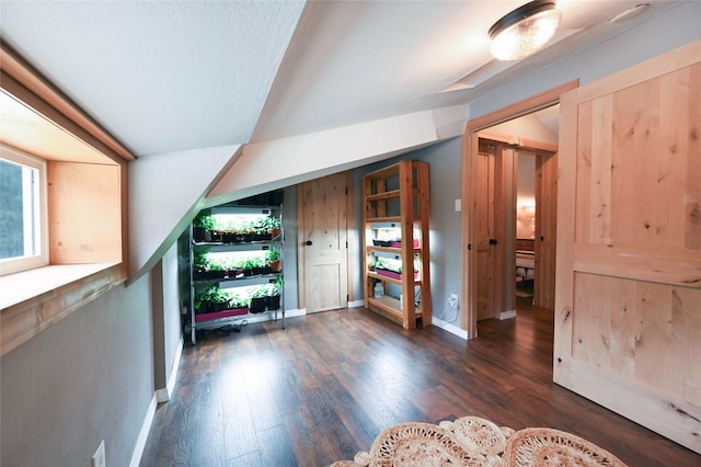 2 Cedar Grove Ln, Noxon, MT 59853 - entryway featuring dark wood-style floors and baseboards