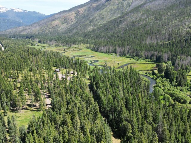 2 Cedar Grove Ln, Noxon, MT 59853 - bedroom with vaulted ceiling and wood finished floors