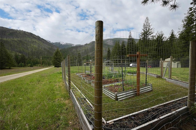 2 Cedar Grove Ln, Noxon, MT 59853 - surrounding community with a garden, a mountain view, and a yard