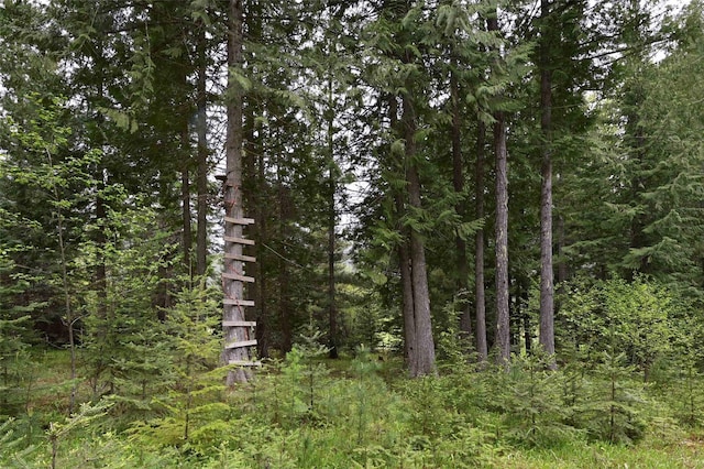 2 Cedar Grove Ln, Noxon, MT 59853 - view of wooded area