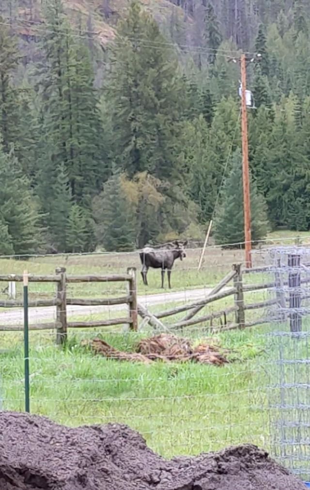 2 Cedar Grove Ln, Noxon, MT 59853 - view of yard with a forest view and a view of countryside
