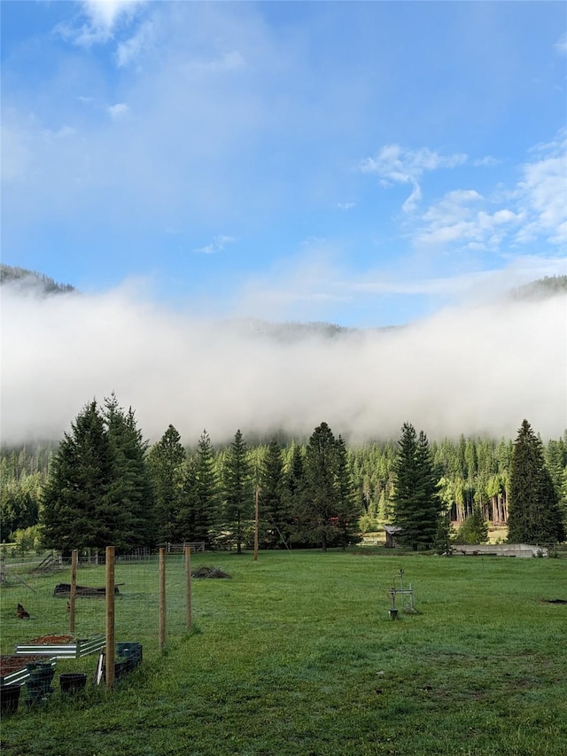 2 Cedar Grove Ln, Noxon, MT 59853 - view of grassy yard