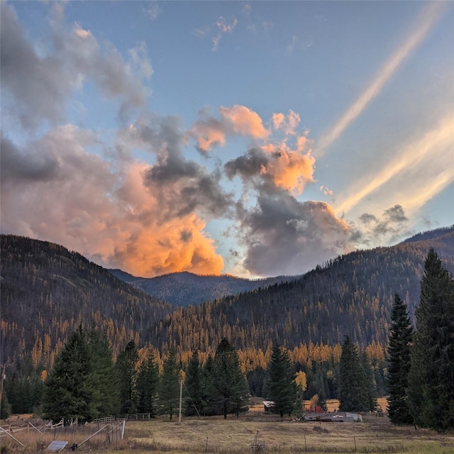 2 Cedar Grove Ln, Noxon, MT 59853 - view of mountain background with a forest