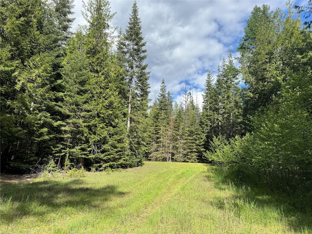 2 Cedar Grove Ln, Noxon, MT 59853 - view of yard with a forest view