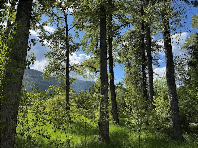 2 Cedar Grove Ln, Noxon, MT 59853 - water view featuring a forest and a mountain backdrop