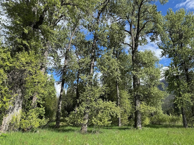 2 Cedar Grove Ln, Noxon, MT 59853 - view of nature