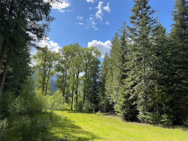 2 Cedar Grove Ln, Noxon, MT 59853 - view of tree filled area