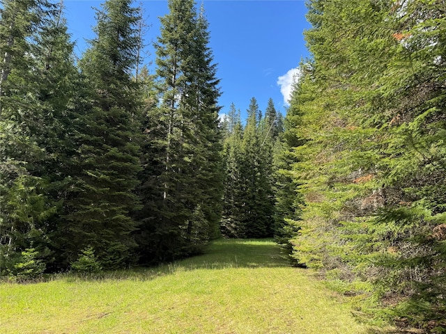 2 Cedar Grove Ln, Noxon, MT 59853 - view of grassy yard featuring a wooded view